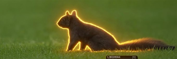 Baseball Squirrel banner